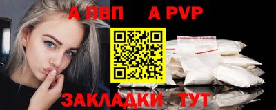 дурь Кингисепп
