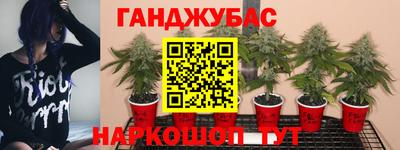 ешки Кинель