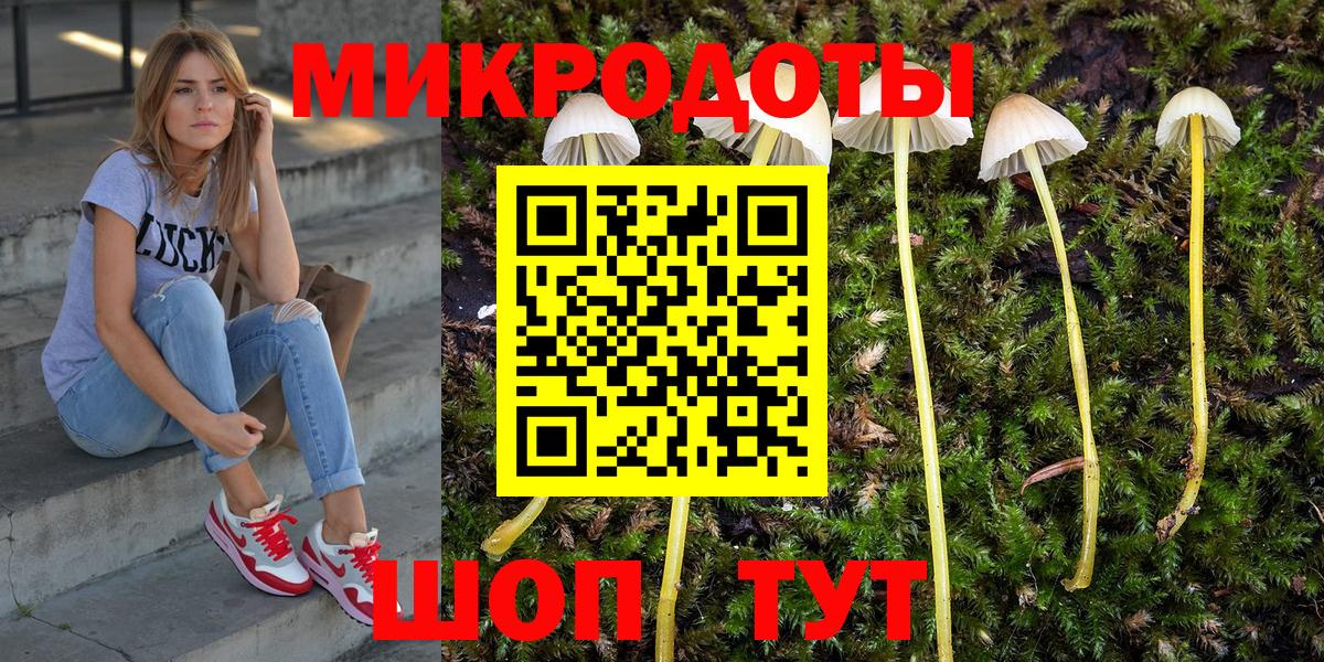 Костомукша  сколько стоит  Вход с VPN  Псилоцибиновые грибы Cubensis 