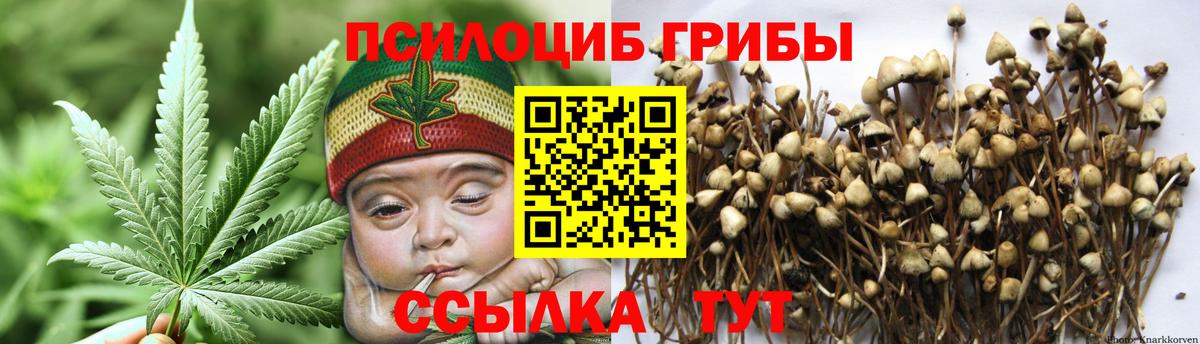 Псилоцибиновые грибы MAGIC MUSHROOMS Костомукша